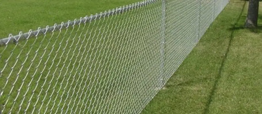 Galvanized chain link fence line across a lawn