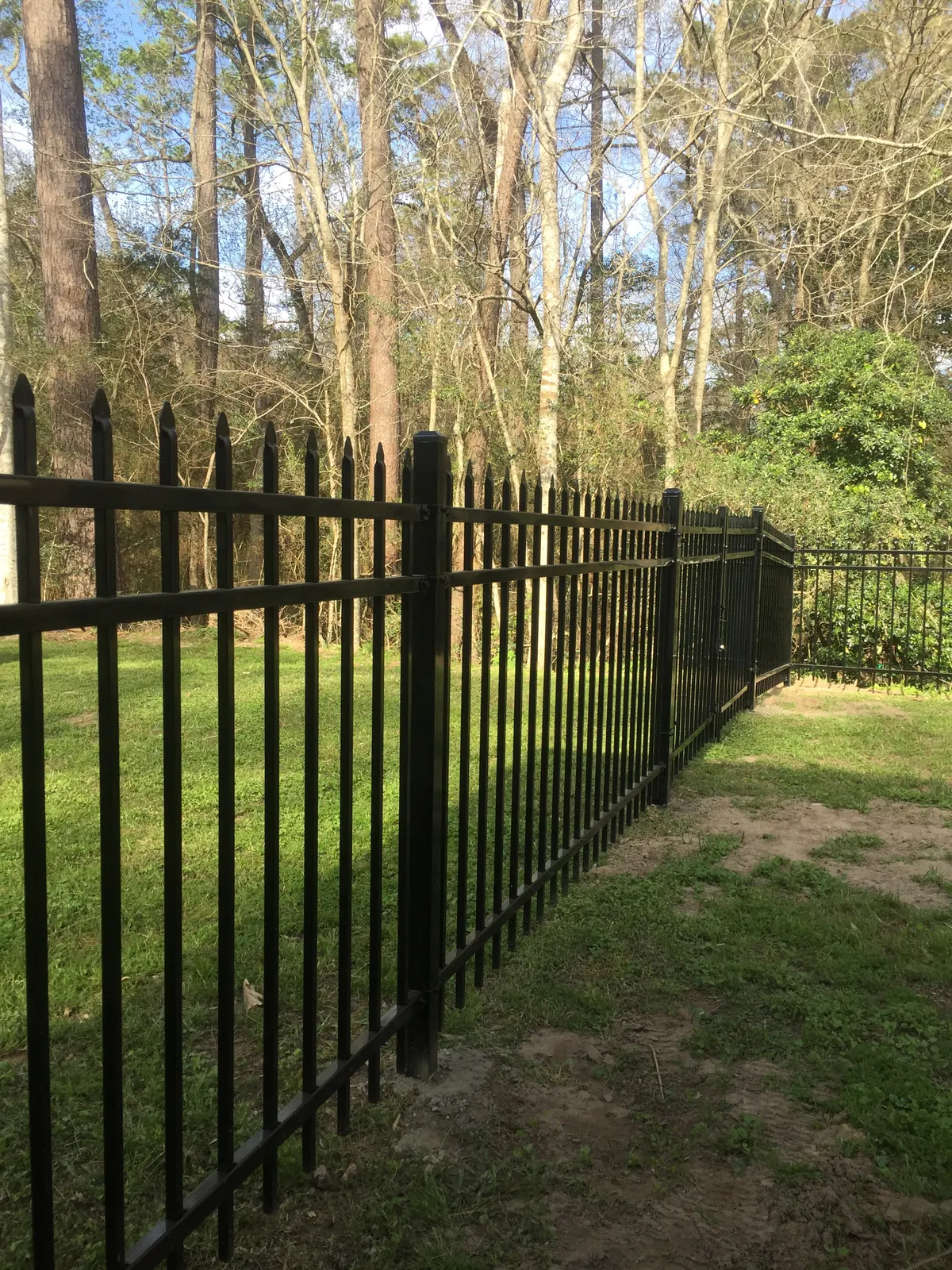 Black aluminum spear-top fence line along a wooded property