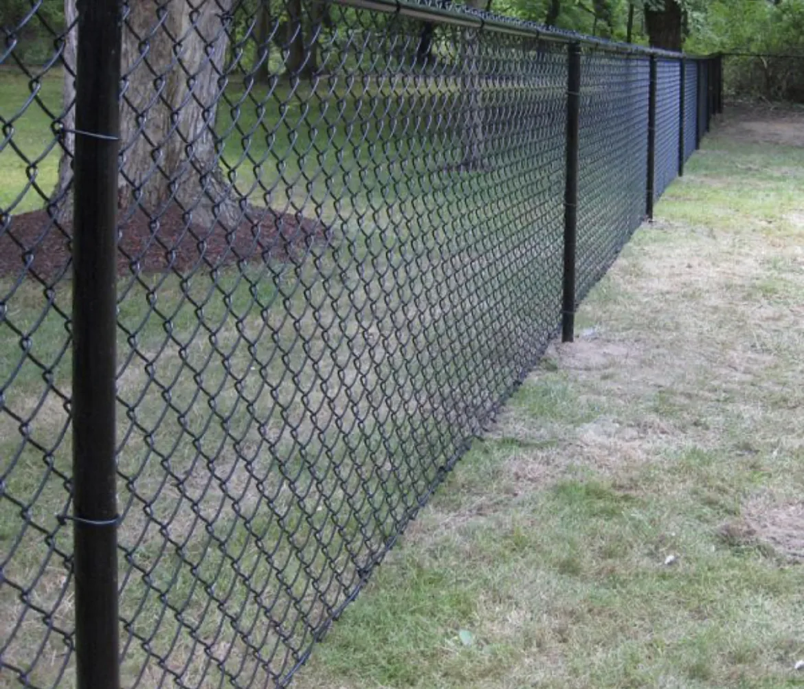 Black chain link fence along a landscaped backyard with a mature tree
